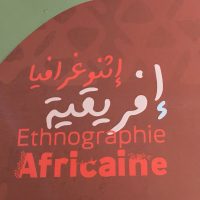 Exposition d’ethnographie africaine au musée du Bardo : L’Algérie «deuxième berceau» de l’humanité